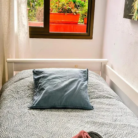 La Casa De Las Flores Tacoronte