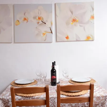 La Casa De Las Flores Tacoronte