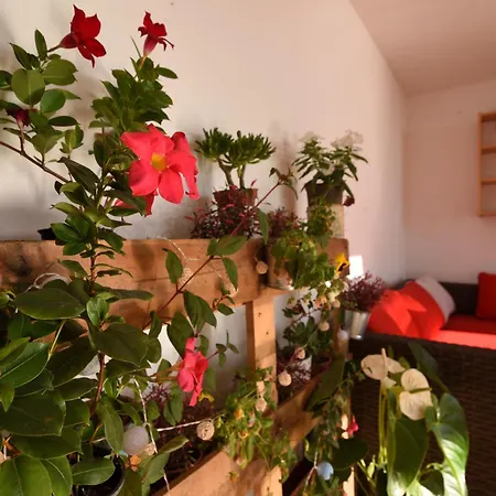 Vakantiehuis La Casa De Las Flores
