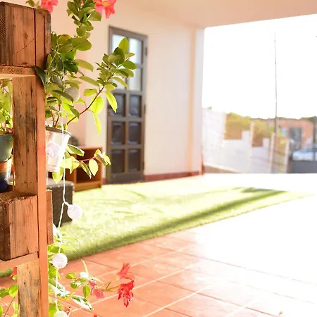 La Casa De Las Flores * タコロンテ