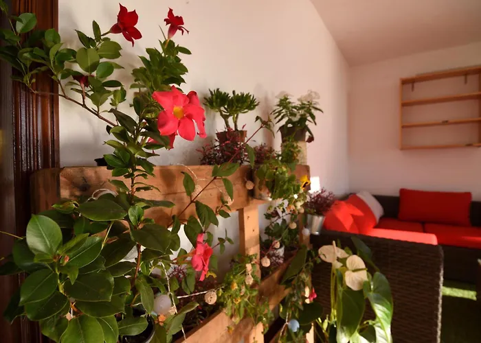 בית נופש La Casa De Las Flores